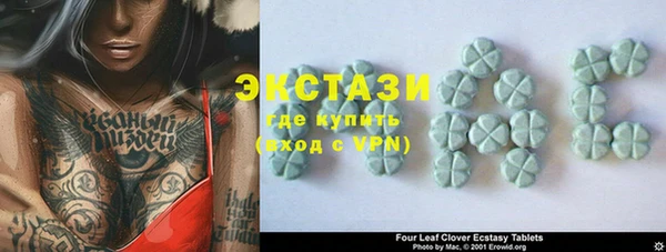 стаф Вяземский