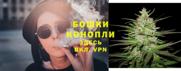 стаф Вяземский