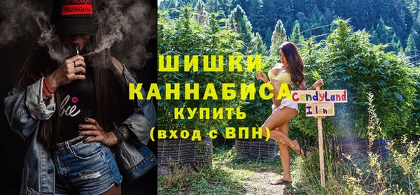 мдпв Володарск