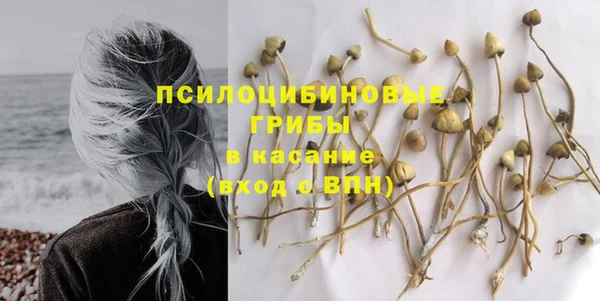 мдпв Володарск