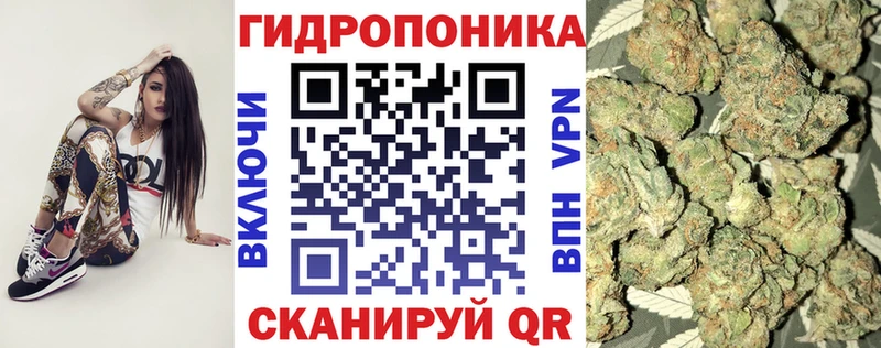 Шишки марихуана план  Камешково 